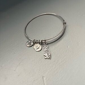 Alex and Ani Penguin Bracelet